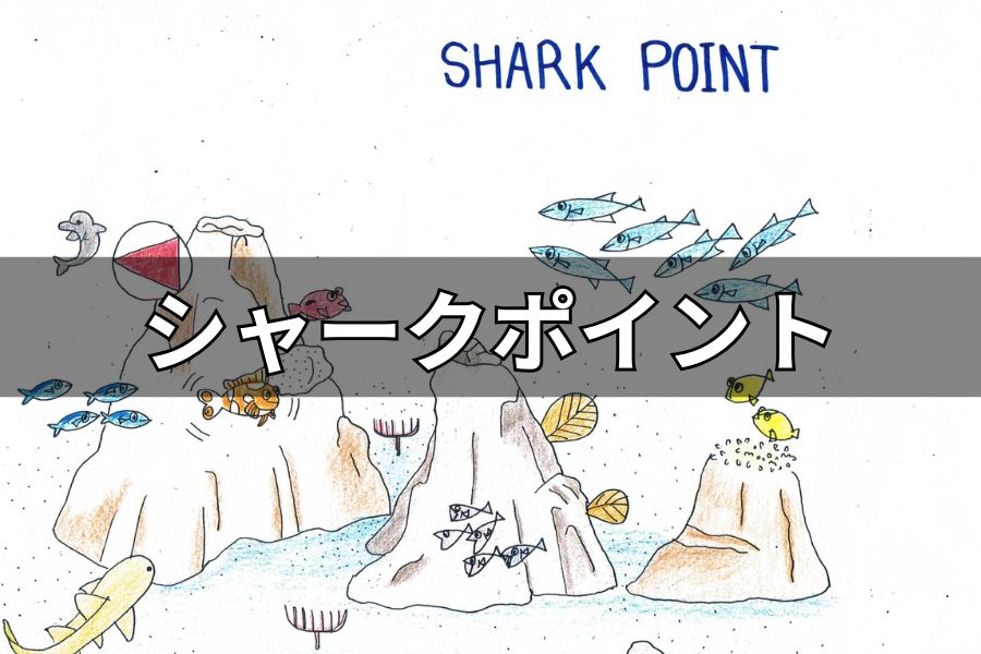 シャークポイント