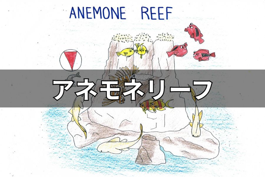 アネモネリーフ