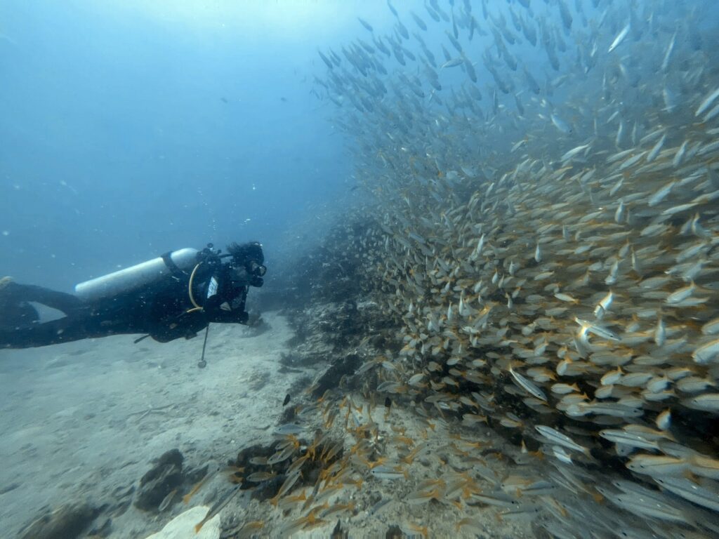 7月のピピ諸島の海況レポート3