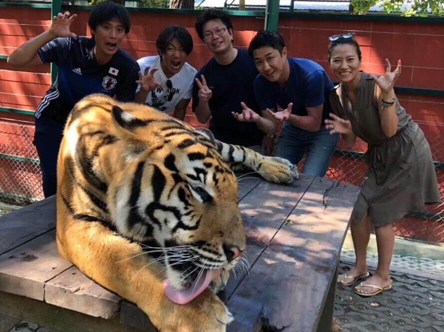 家族でタイガーキングダム