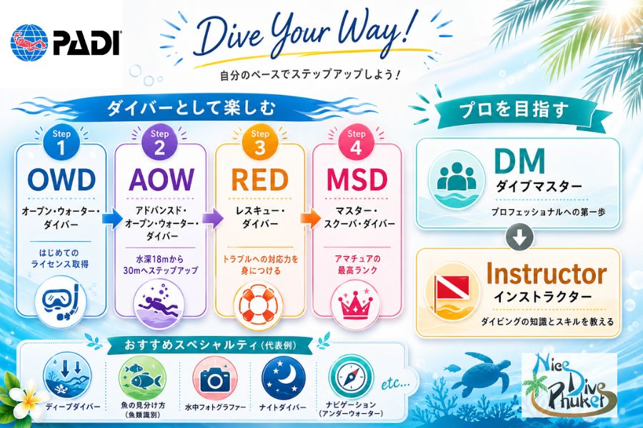 ダイビングライセンスフロチャート