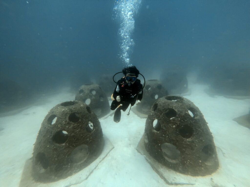 6月のラチャヤイ島の海況