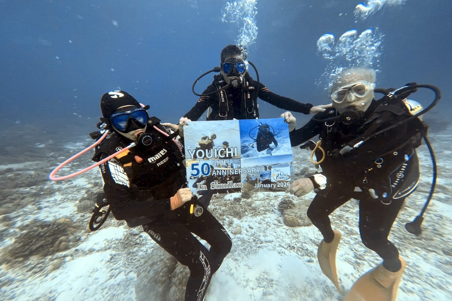 シミラン諸島で過ごすダイビング旅行