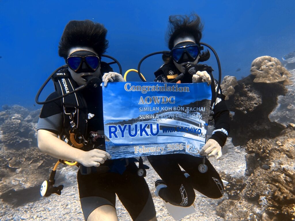 シミラン諸島で過ごすダイビング旅行