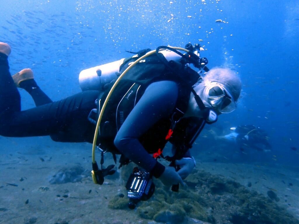 シミラン諸島でファンダイビングを楽しむ様子