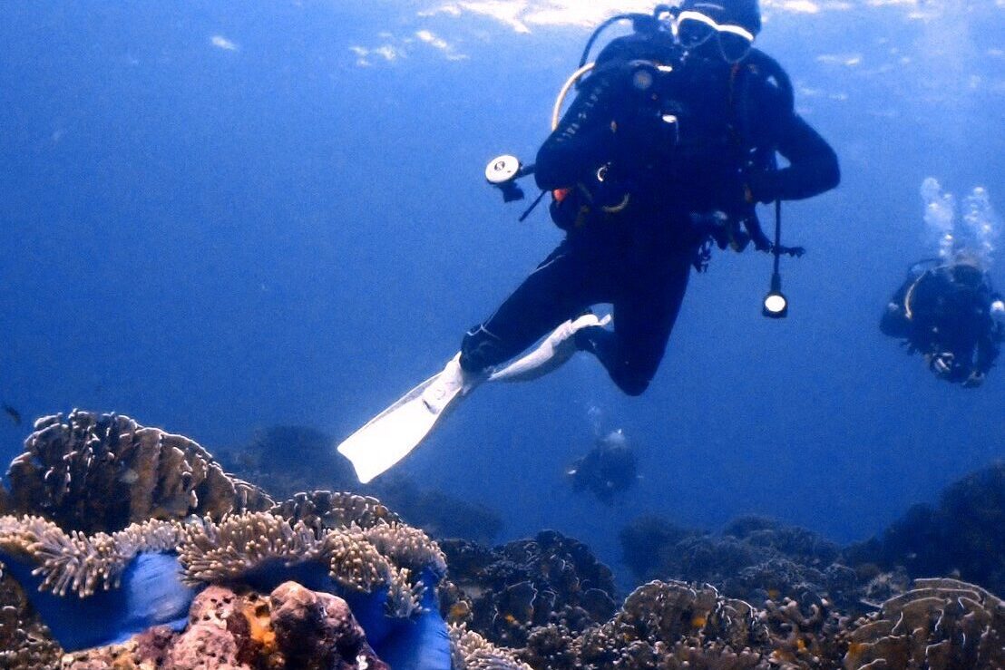 シミラン諸島のサンゴ礁とダイバー