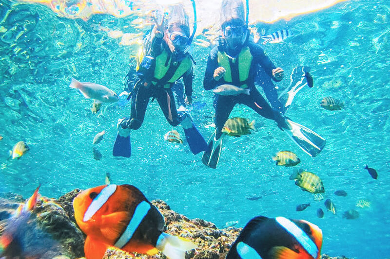 プーケットの海で魚たちとシュノーケル