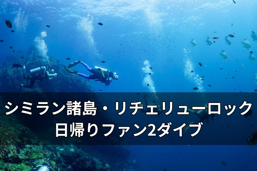 日本人ガイドと一緒にプライベートで潜るファンダイビング